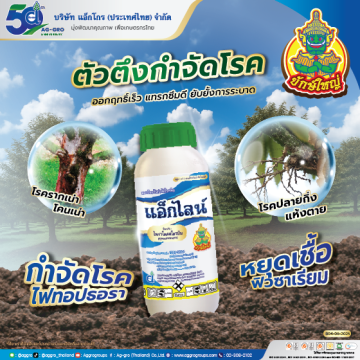 แอ็กซ่า